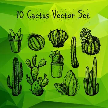 Hand Drawn Isolated Cactuses Set Stock Illustration