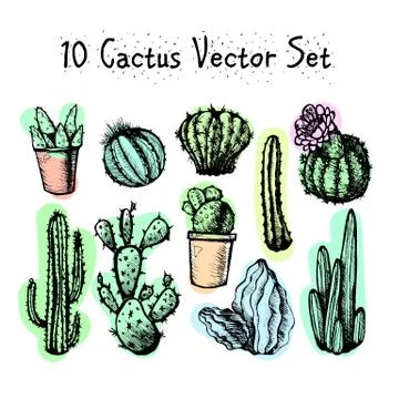 Hand Drawn Isolated Cactuses Set Stock Illustration