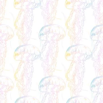 Hand drawn jellyfish. Vector illustration. Sea collection Stock Illustration