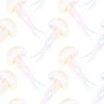 Hand drawn jellyfish. Vector illustration. Sea collection Stock Illustration