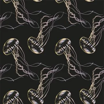 Hand drawn jellyfish. Vector illustration. Sea collection Stock Illustration