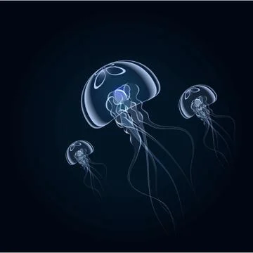Hand drawn jellyfish. Vector illustration Stock Illustration