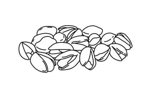 Hand drawn Kids drawing vector Illustration pistachios in a cartoon style I.. Stock Illustration
