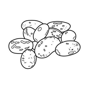 Hand drawn Kids drawing vector Illustration pinto beans in a cartoon style .. Stock Illustration