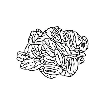 Hand drawn Kids drawing vector Illustration pecans in a cartoon style Isola.. Stock Illustration
