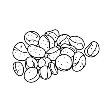 Hand drawn Kids drawing vector Illustration kola nuts in a cartoon style Is.. Illustrazione stock