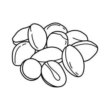 Hand drawn Kids drawing vector Illustration ginkgo beans in a cartoon style.. Stock Illustration