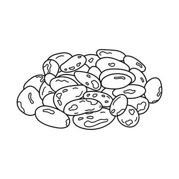 Hand drawn Kids drawing vector Illustration cacao beans in a cartoon style .. Stock Illustration