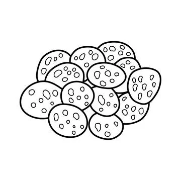 Hand drawn Kids drawing vector Illustration atherton oak nuts in a cartoon .. Stock Illustration