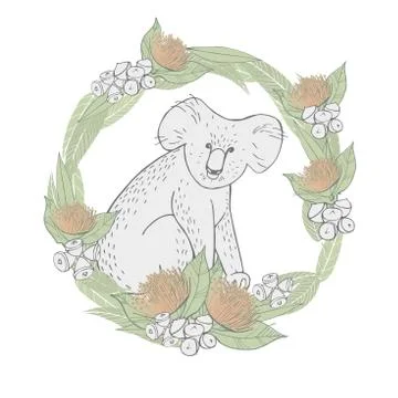 Hand drawn koala and eucalyptus leaves on white background. Stock Illustration