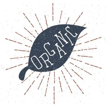 Hand drawn label with textured leaf and Organic lettering. Vector Stock Illustration