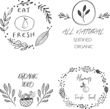 Hand drawn labels and elements collection for organic food and drink, natural Stock Illustration