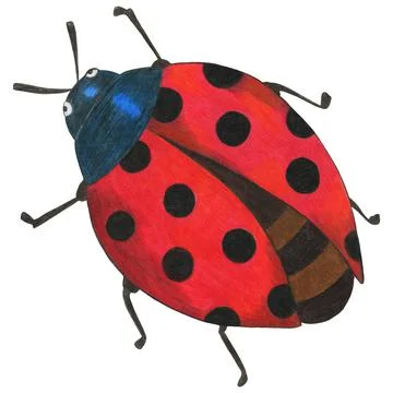Hand Drawn Ladybug Isolated on White Background. Stock Illustration