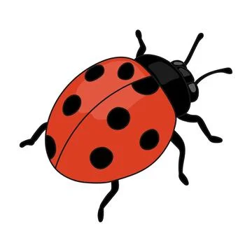 Hand Drawn Ladybug Vector Illustration with Red Wings and Black Spots Stock Illustration