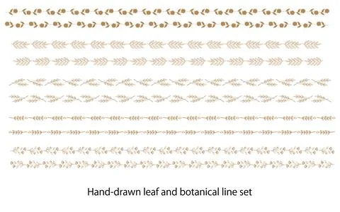Hand-drawn leaf and botanical line set Stock Illustration