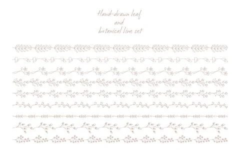 Hand-drawn leaf and botanical line set Illustration