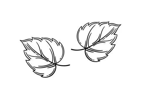 Hand drawn leaf with autumn theme 5 Stock Illustration