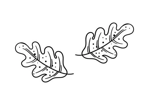 Hand drawn leaf with autumn theme 6 Stock Illustration
