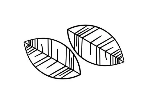 Hand drawn leaf with autumn theme 3 Stock Illustration