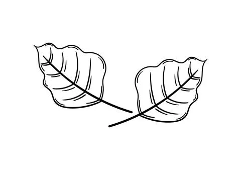 Hand drawn leaf with autumn theme 2 Stock Illustration
