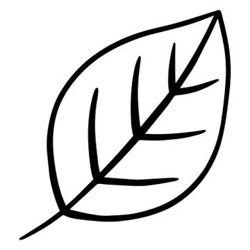 Hand drawn leaf. Doodle. Ecology concept. Isolated on white background. Vector Stock Illustration