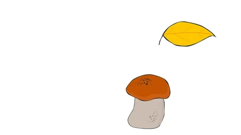 Hand drawn leaf falls on the mushroom Stock Footage 118699340
