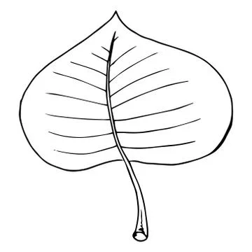 Hand drawn leaf of the tree. Vector illustration of a falling leaf of a tree. Illustrazione stock
