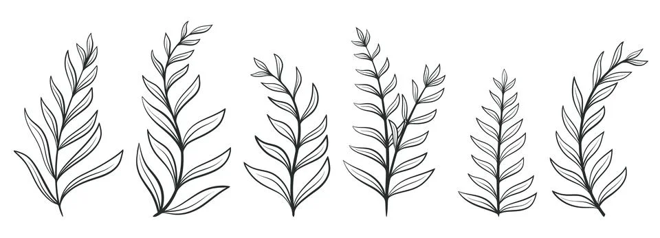 Hand drawn leafy twigs set Ilustración de archivo