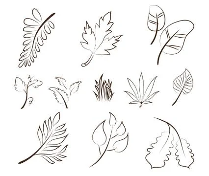 Hand drawn Leaves set Stock Illustration