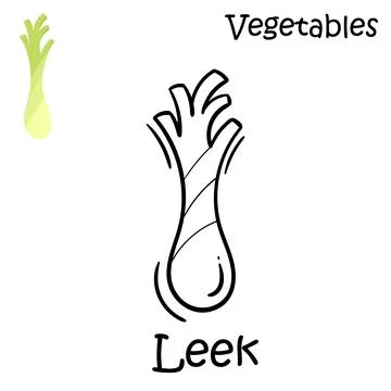 Hand drawn leek on a white background Stock Illustration