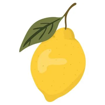 Hand Drawn Lemon Branch Stock Illustration