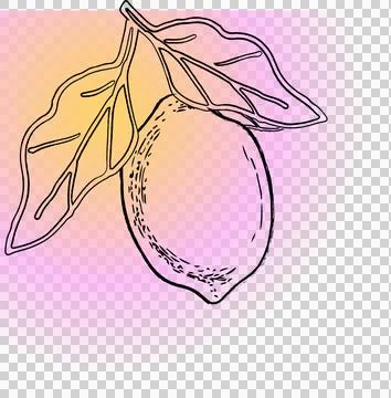 Hand-drawn lemon on leafy branch is hanging against gradient backdrop on Stock Illustration