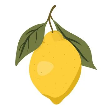 Hand Drawn Lemon with Leaves Stock Illustration
