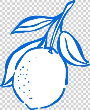 Hand drawn Lemon Outline with stem and leaves Whimsical Doodle 库存插图