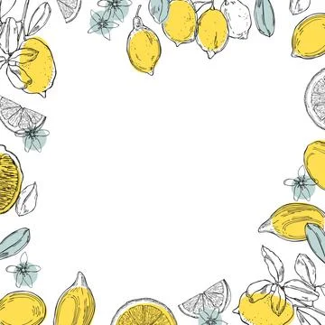 Hand drawn lemons.  Vector background. Illustrazione stock