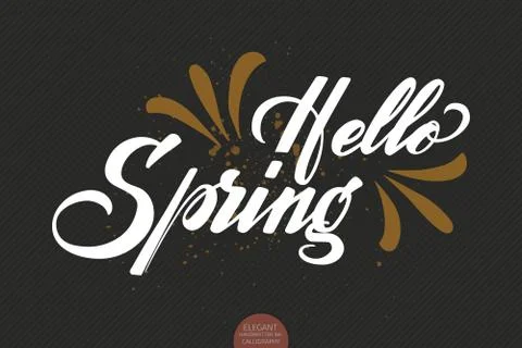 Hand drawn lettering Hello Spring. Elegant modern handwritten calligraphy. Ve Stock Illustration