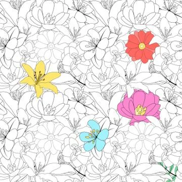 Hand drawn Lilly  flower. Vector Illustration EPS10 Stock Illustration