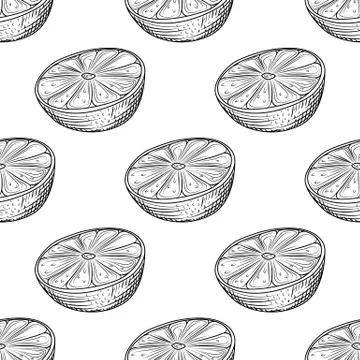 Hand drawn lime slice seamless pattern on white background. Lemon citrus frui Stock Illustration