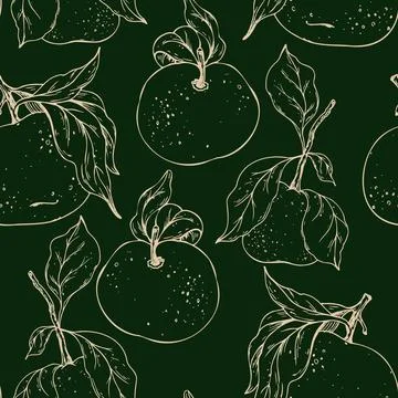 Hand-drawn line art seamless pattern with whole tangerines and citrus leaves Stockillustratie