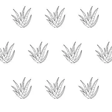 Hand-drawn Line Art Seashell Illustration Stock Illustration