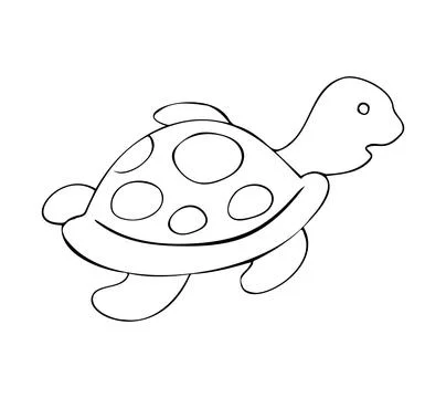 Hand-drawn Line Art Turtle Illustration Illustrazione stock