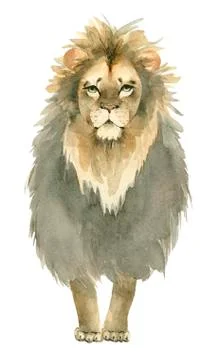 Hand drawn lion Stock Illustration