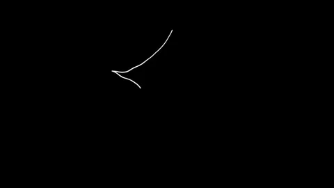 Hand-drawn LOOP Animation Elements Stock Footage 312437806
