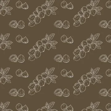 Hand drawn Macadamia nuts Background Stock Illustration