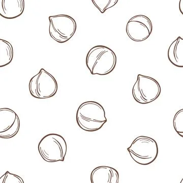 Hand drawn  macadamia. .Vector  pattern. Illustrazione stock