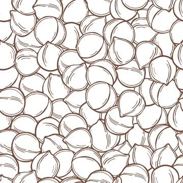 Hand drawn  macadamia. .Vector  pattern. Stock Illustration