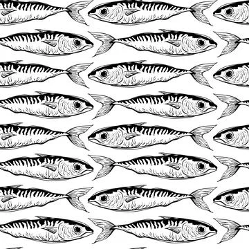 Hand Drawn Mackerel Fish Pattern in Black and White Stock Illustration