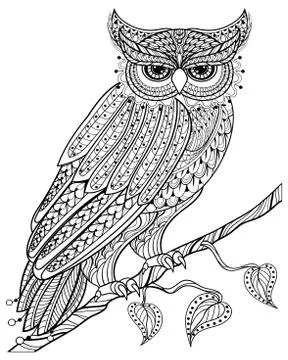Hand drawn magic Owl sitting on branch for adult anti stress Col 스톡 일러스트