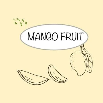 Hand drawn Mango fruit banner イラスト素材