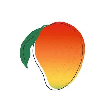 Hand drawn mango fruit isolated on white background. Cartoon mango Stock Illustration
